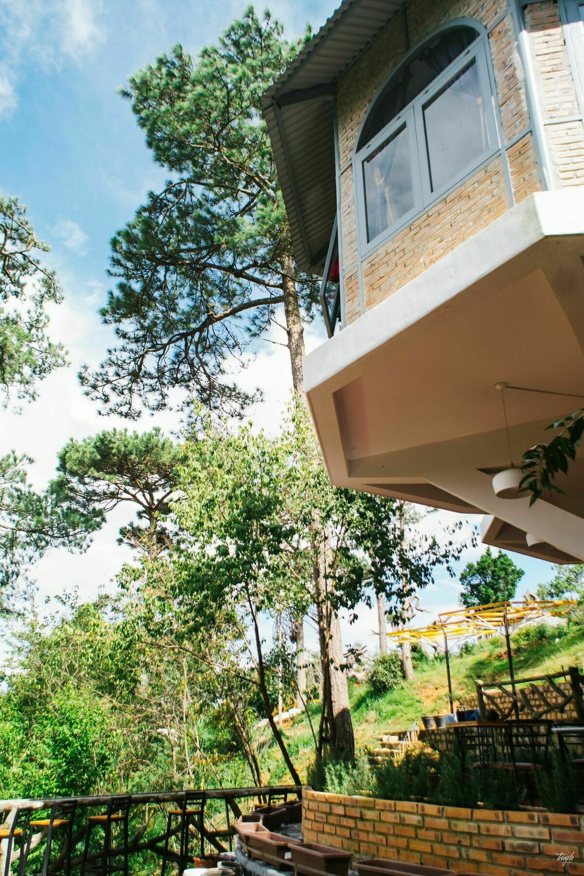 Maple Hostel Далат Екстер'єр фото